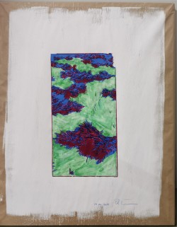 Blue and Red Ricefield