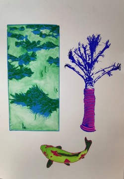 Koi in Green Ricefield