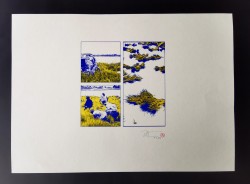 Blue and Yellow Ricefield