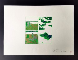 Green and Gold Ricefield